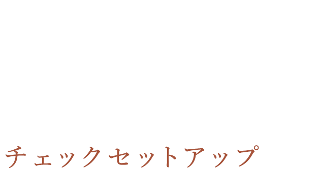 CHECKED SETUP チェックセットアップ