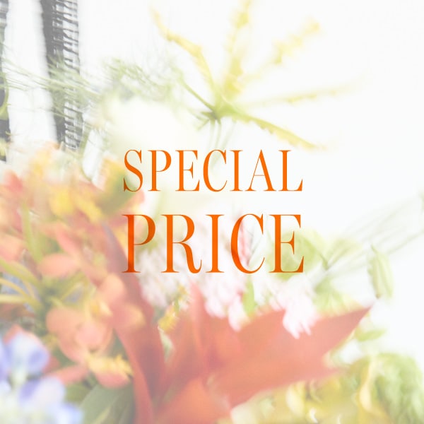 PRICE DOWN