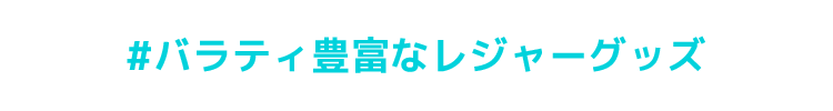 バラエティー豊富なレジャーグッズ