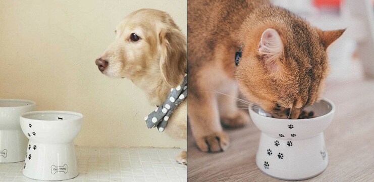 食器