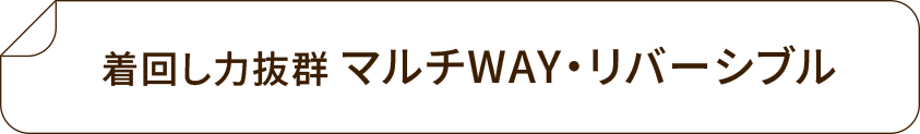 マルチWAY・リバーシブル