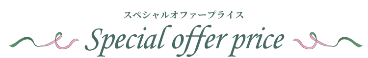 スペシャルオファープライス