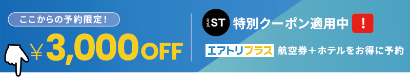 ¥3,000クーポン