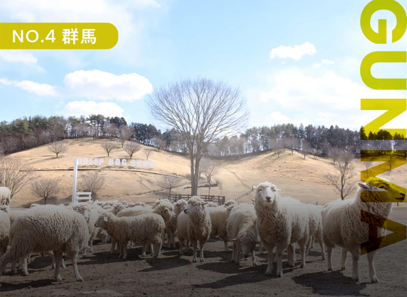 次の週末、群馬行かない?もふもふと触れ合う、アクティブデート旅 | 群馬県出身・よここ