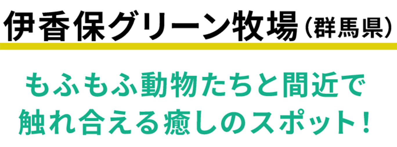 次の週末、群馬行かない?もふもふと触れ合う、アクティブデート旅 | 群馬県出身・よここ