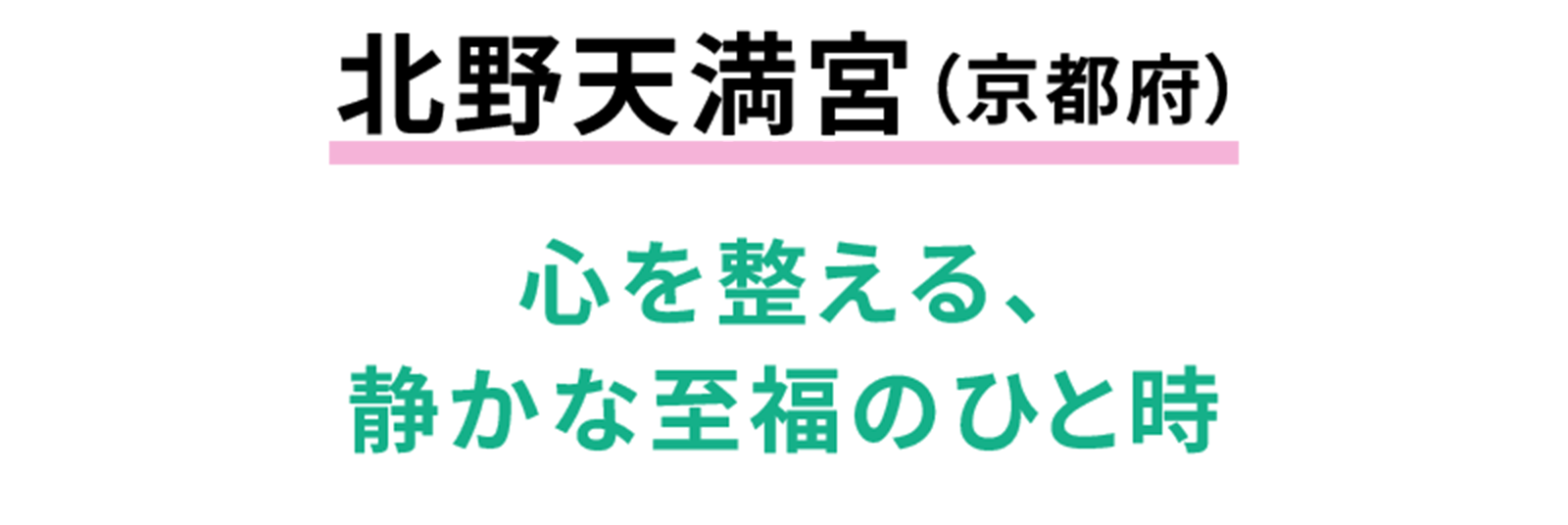 古都京都をめぐる、静かな大人旅!国宝を参拝し、絶品の出汁を味わう | 京都府在住・ゆきは