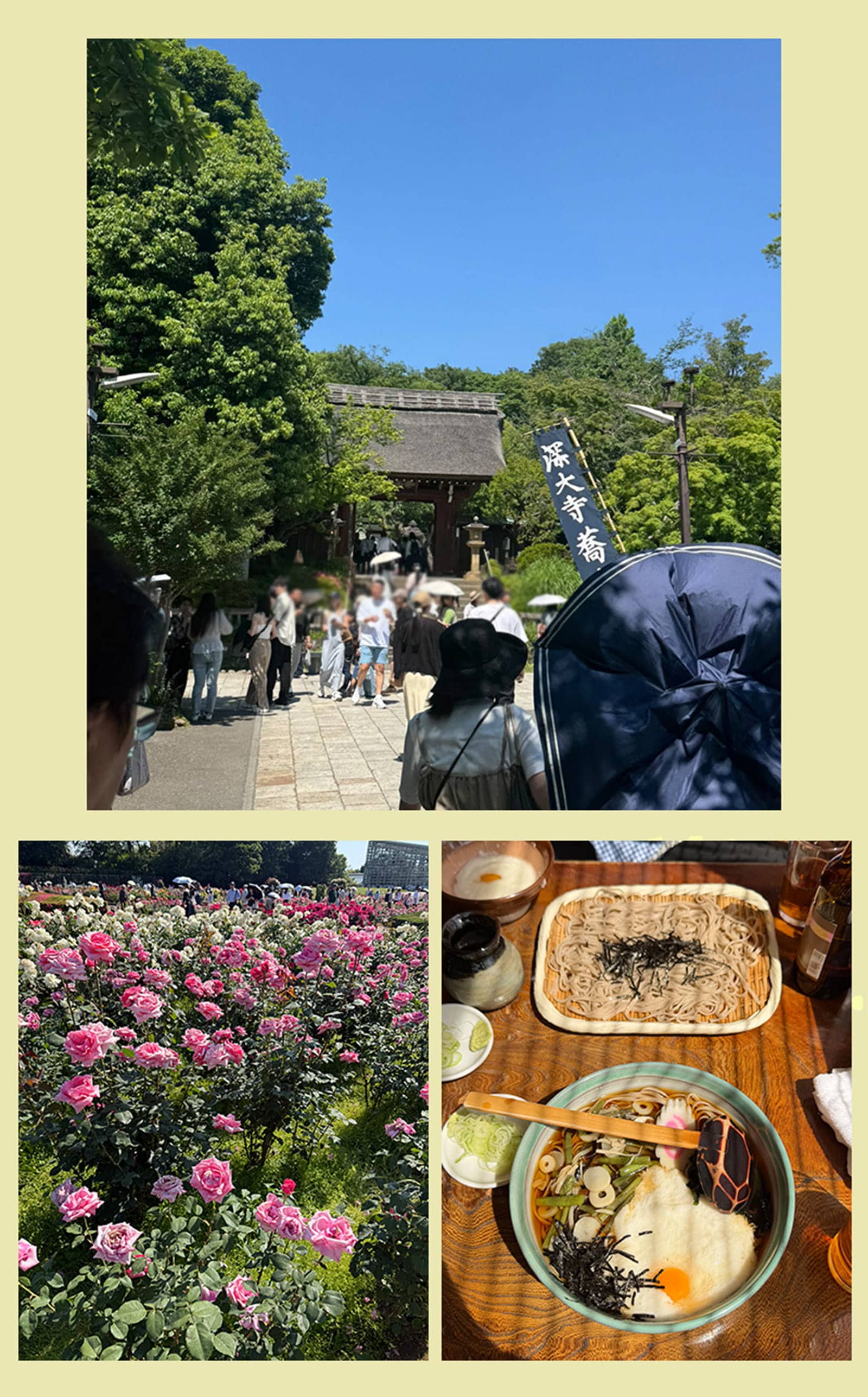 都内でかなう#自然界隈 緑と絶品クッキーに癒やされるZ世代旅 | 東京都在住・りんなこ