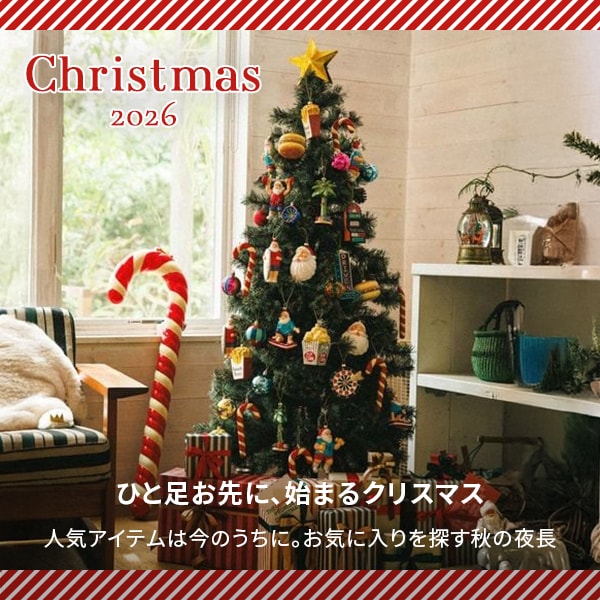ST:クリスマス