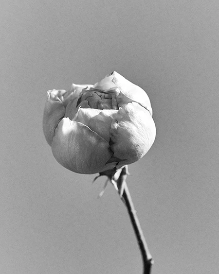 Chaos SPRING SUMMER 2026