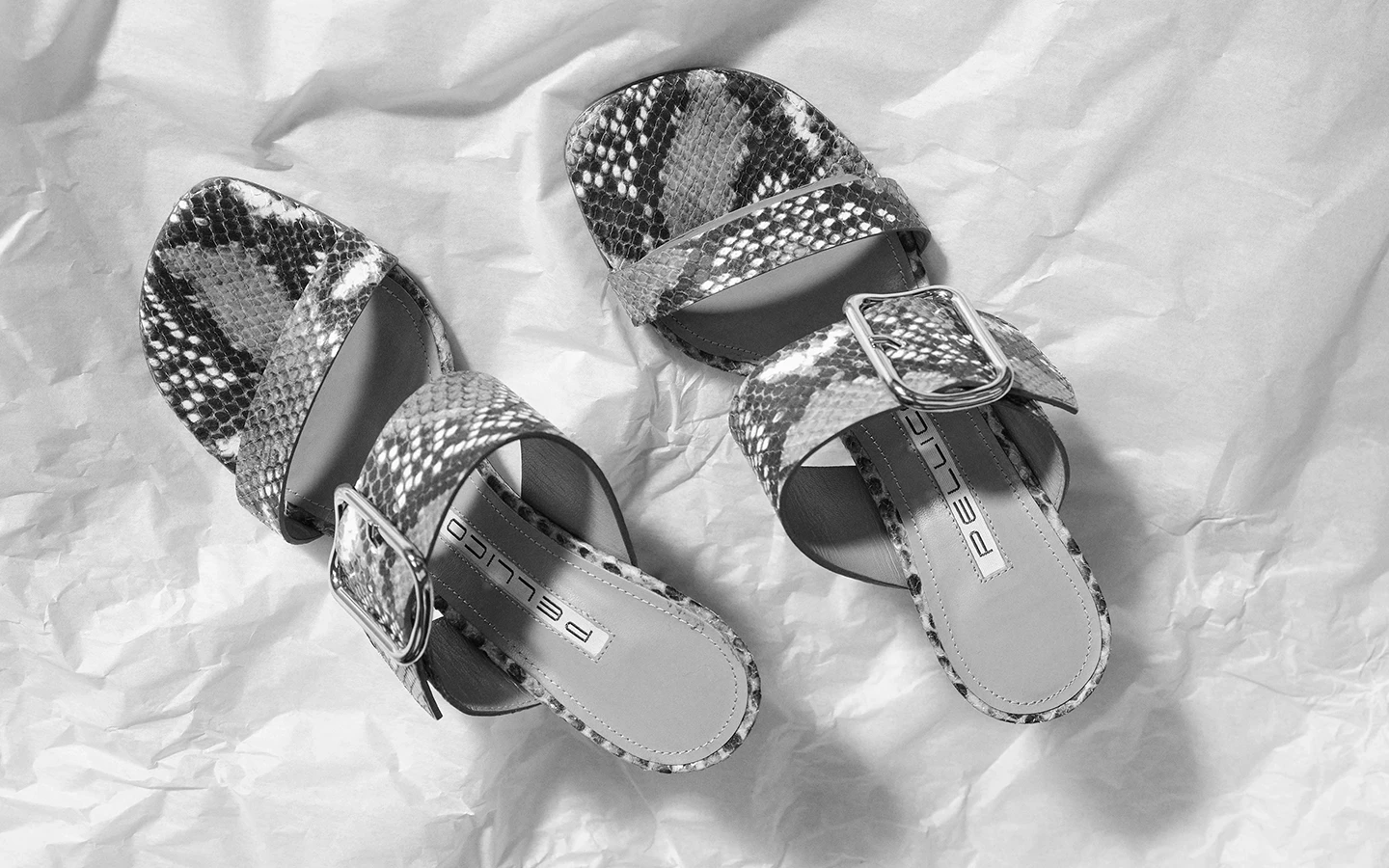 Chaos SPRING SUMMER 2026