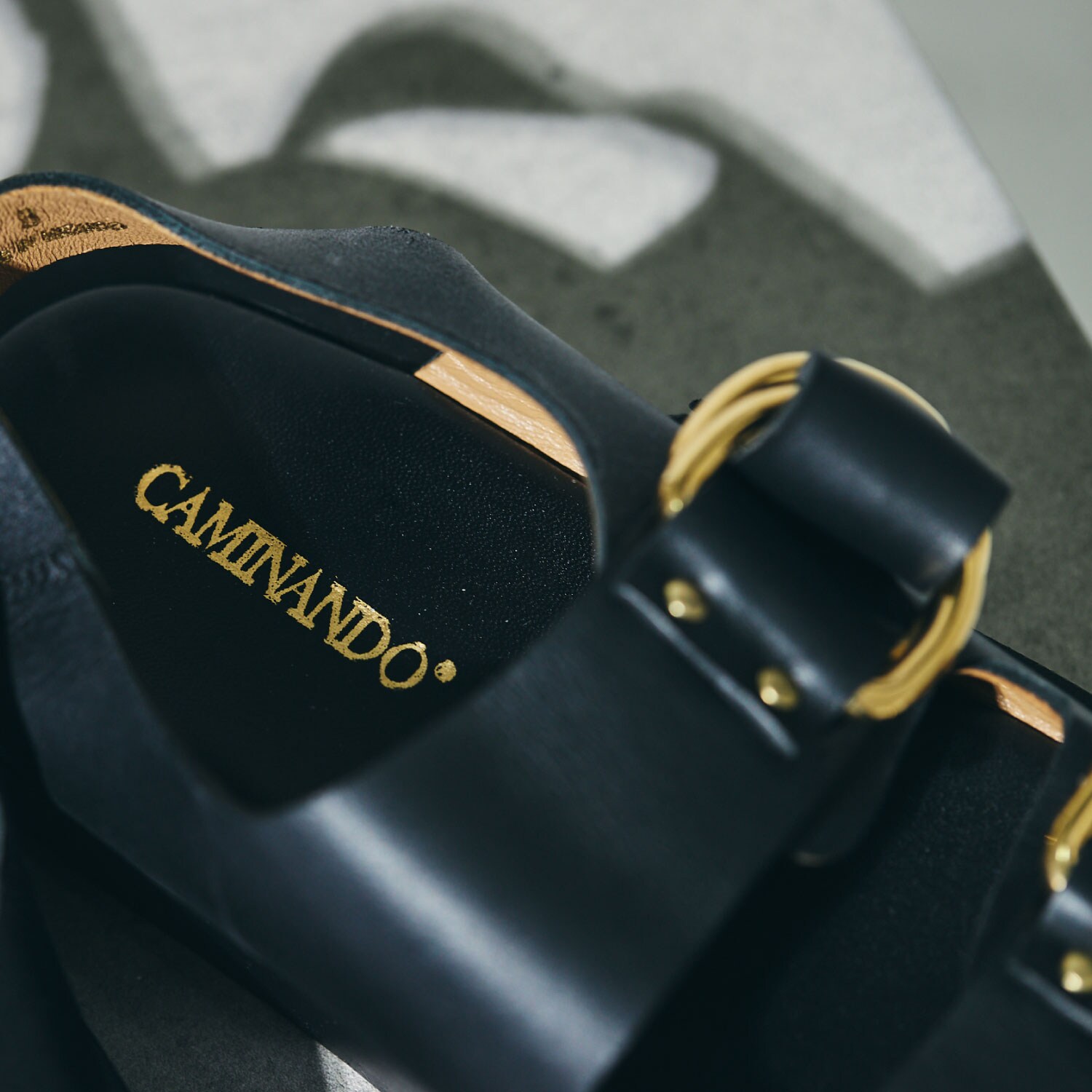 CAMINAND Curensology 5th Anniversary