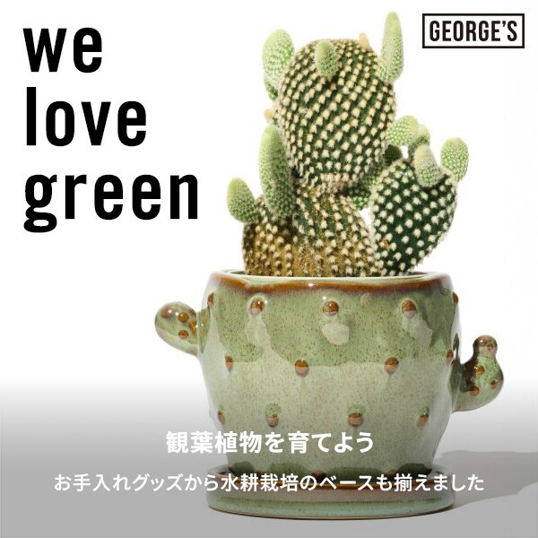 we love greenKW