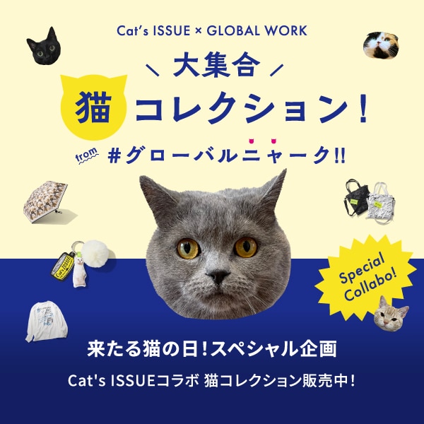 Ws：キャッツイシュー販売(2/2販促)