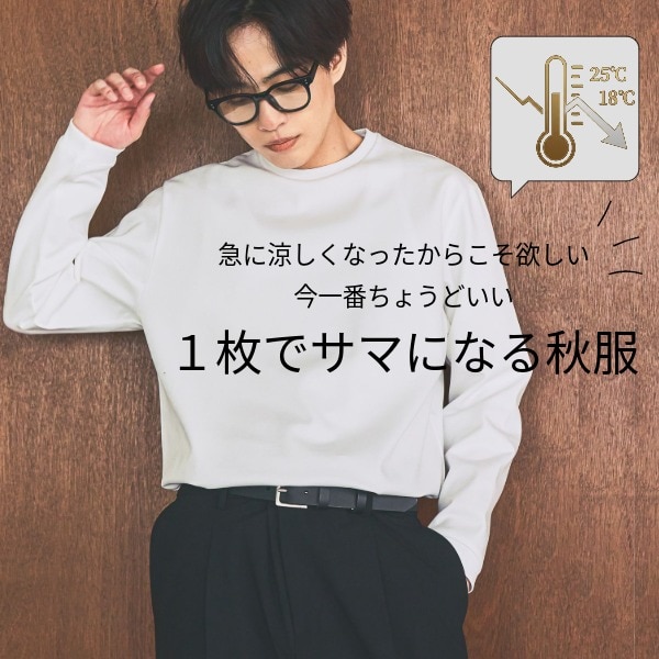 Ms：カット枠(10/2WEB）