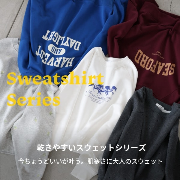 Ws：乾きやすいSWT(10/2WEB)
