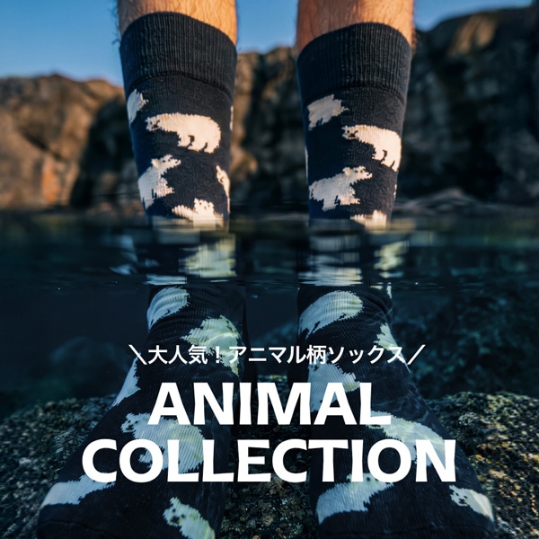 動物柄