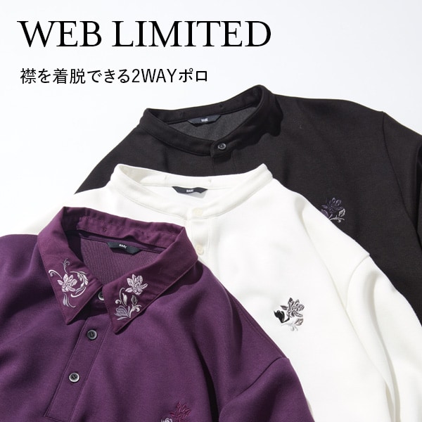 WEB限定SW