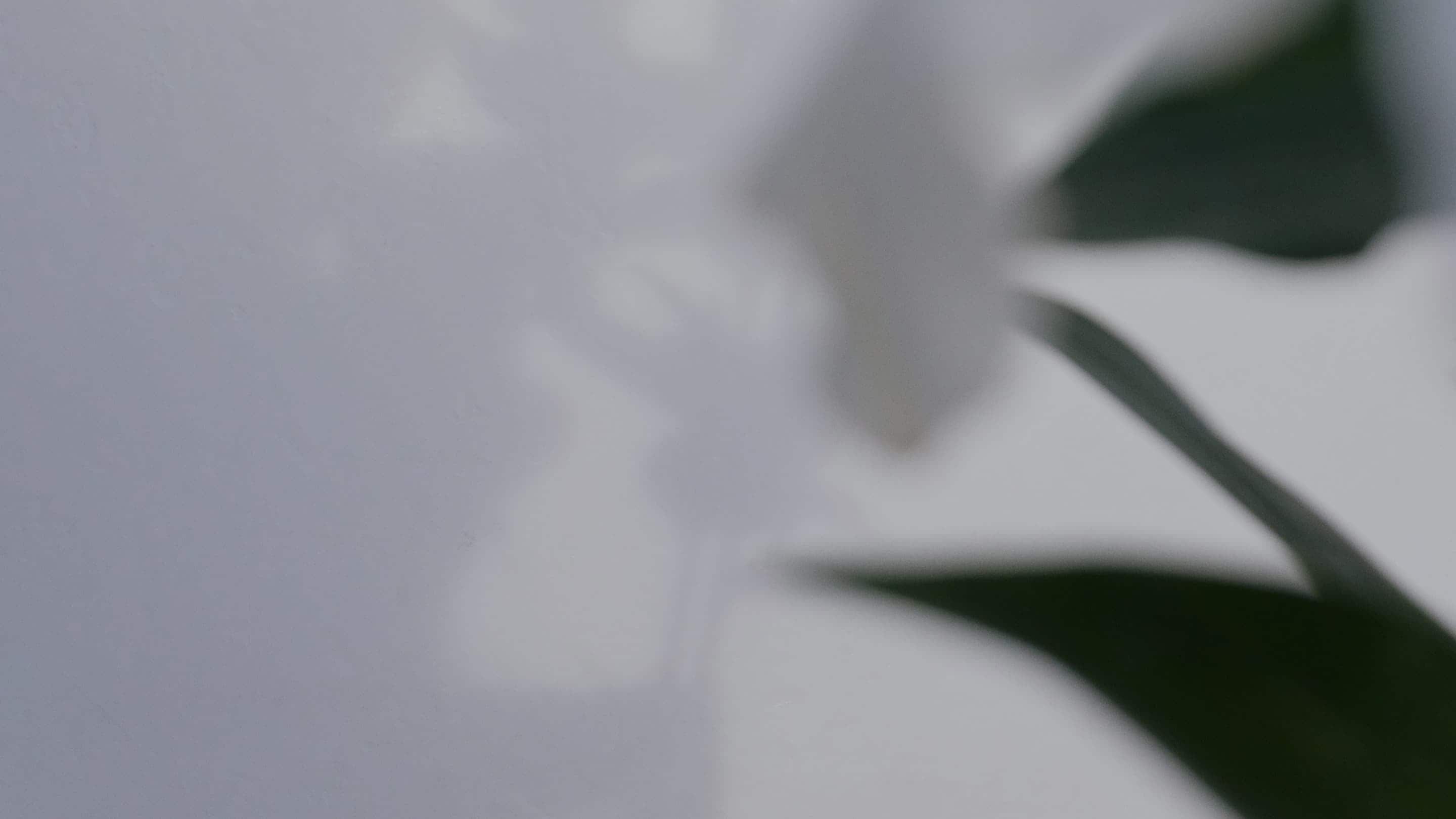OCCASION MODE feat. KANAKO MOMOTA Footer image