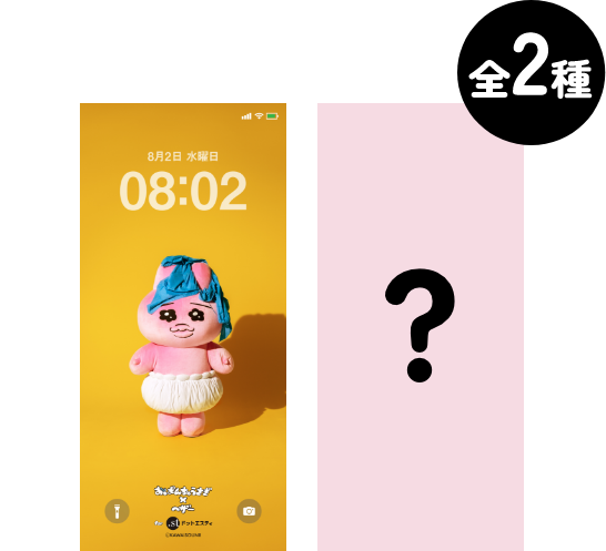 全2種