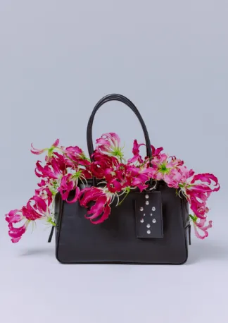 BAG - JEANASIS 2026 SPRING