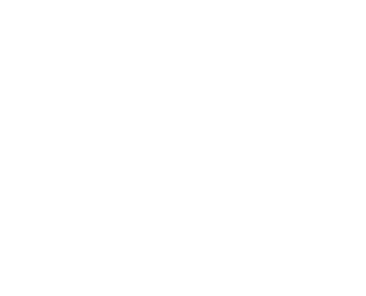 EARLY SUMMER COLLECTION 2024