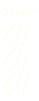 style01
