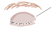 POINT 1
