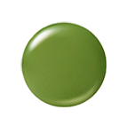 16 カクタスグリーン