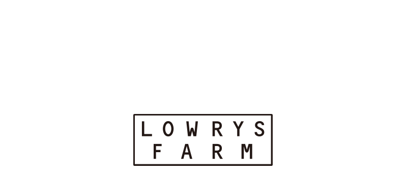 mojojo