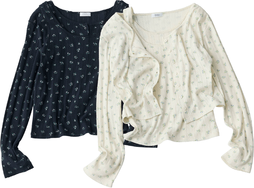 section2-item