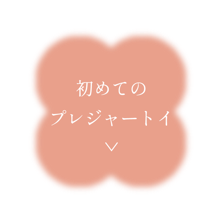 初めてのプレジャートイ