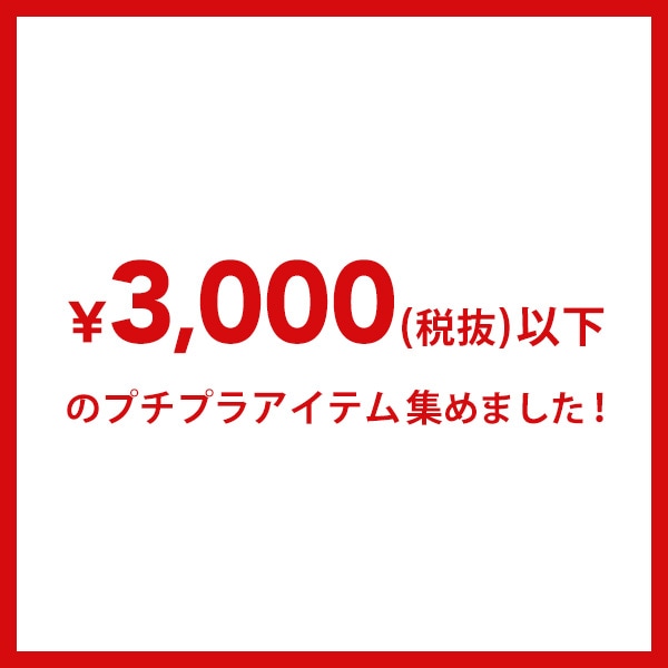 3000円以下