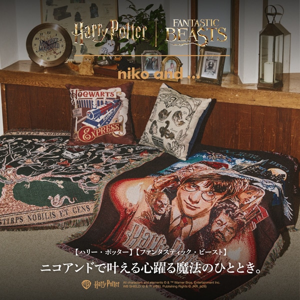 ハリーポッター通常