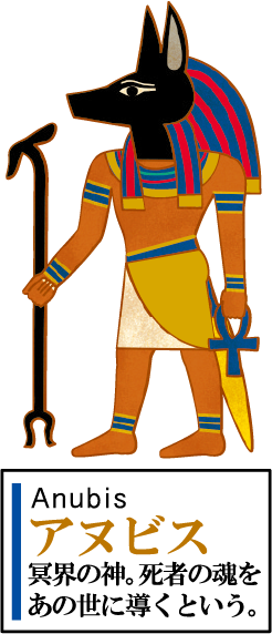 大人の図鑑 Meets Niko And