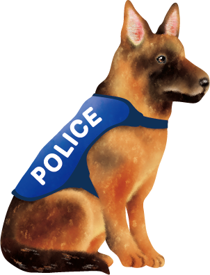 大人の図鑑 Meets Niko And 大人の図鑑 Meets Niko And