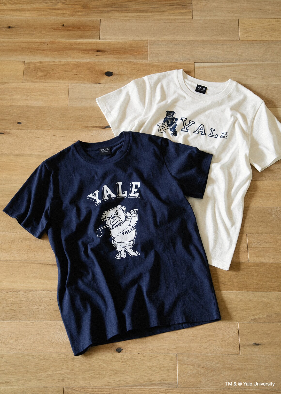 The University of Yale