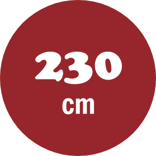 230cm