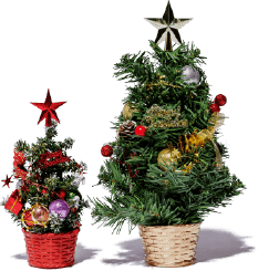Tree Objet