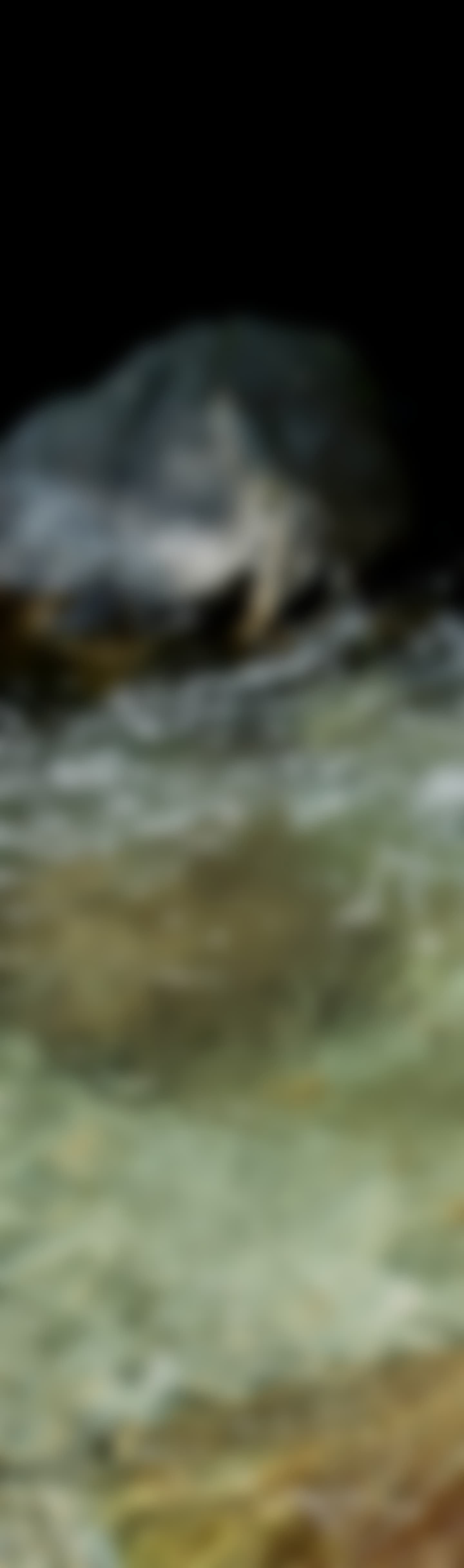CITY CREEK 2023 Autumn