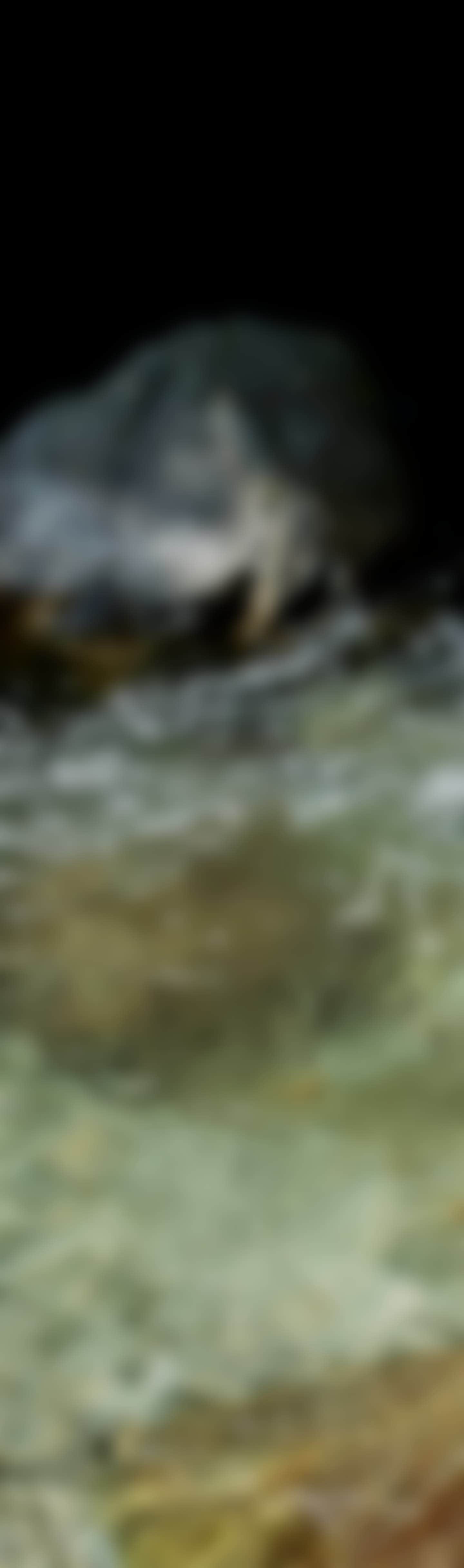 CITY CREEK 2023 Autumn