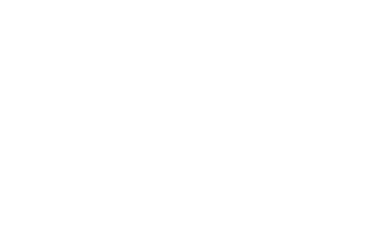 niko and ... All you need is a BAG