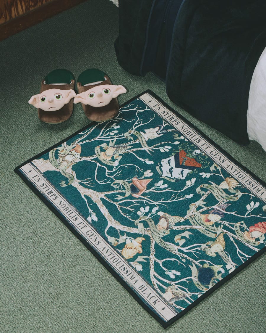 ROOM SHOES / MAT