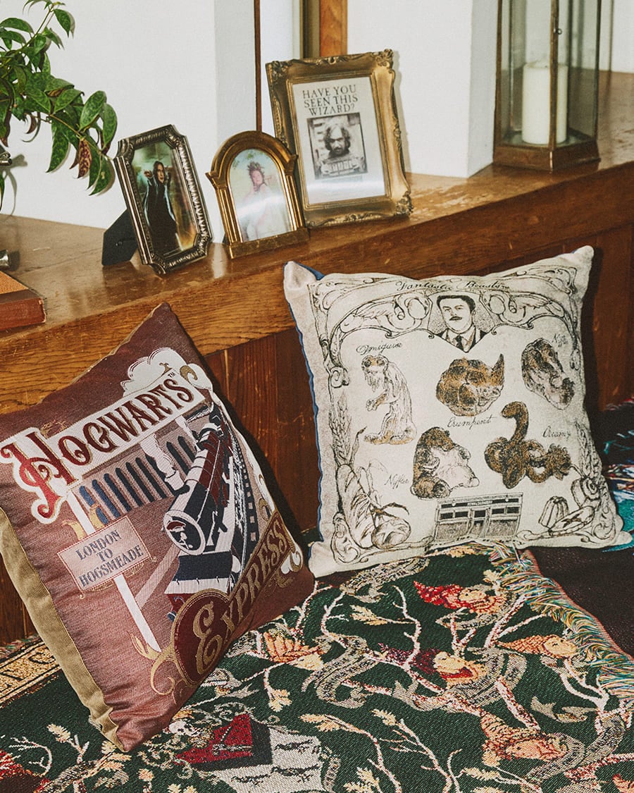 CUSHION