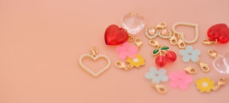 SMART PHONE ACCESSORY_ 写真