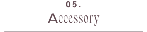 05 Accessory_