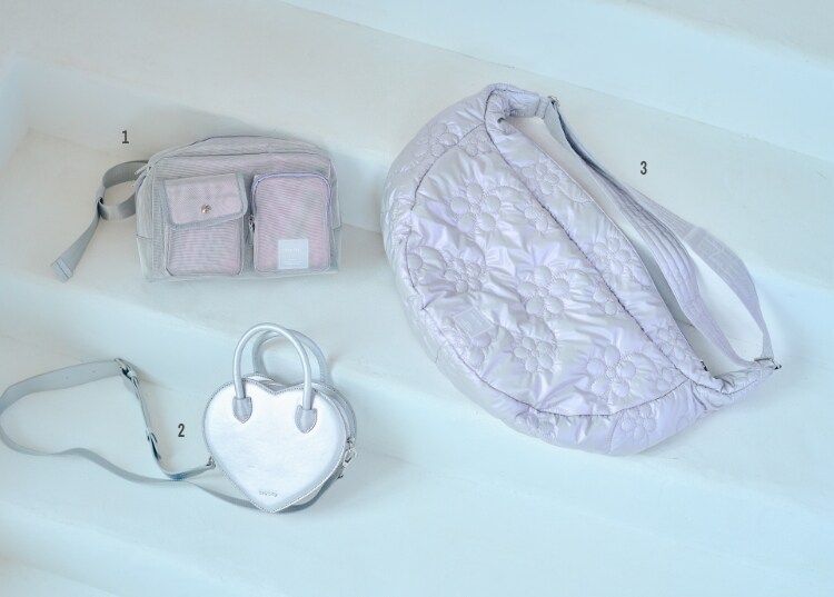 SILVER BAG_ 写真