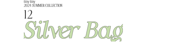12.SILVER BAG_
