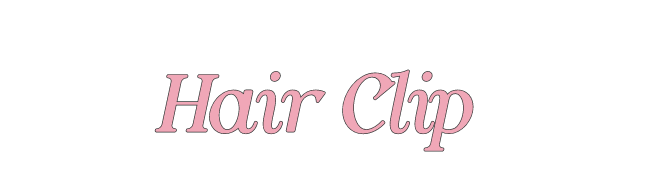 14.HAIR CLIP_