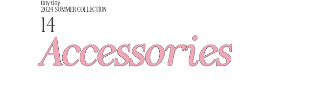 17.ACCESSORIES_