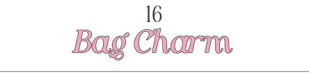 16 BAG CHARM_